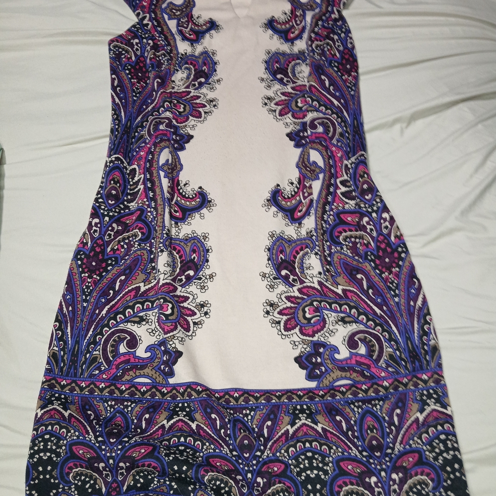 Roz & Ali Vibrant Paisley Midi Dress